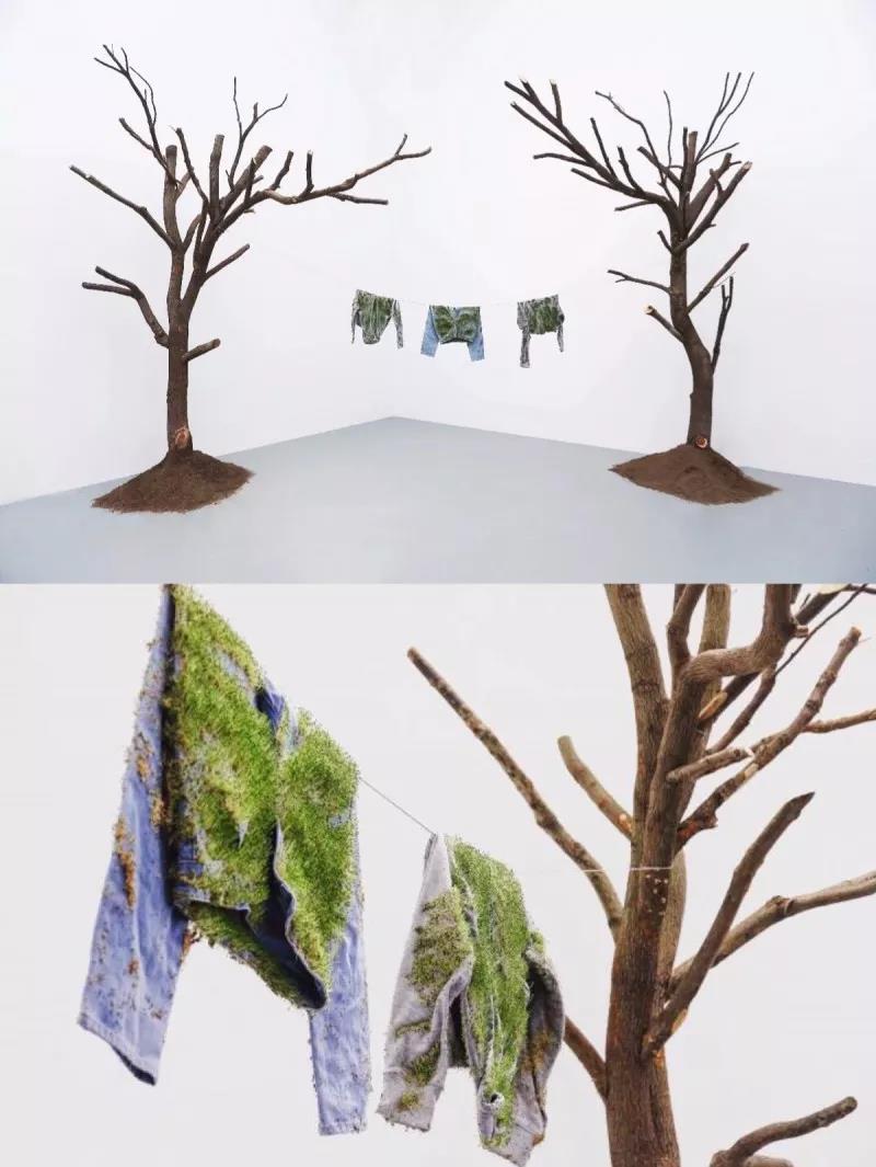 ÃÀ²Ê¹ú¼Ê(Öйú)ÓÐÏÞ¹«Ë¾