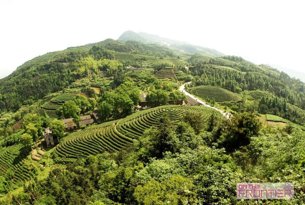 ���ʹ���(�й�)���޹�˾