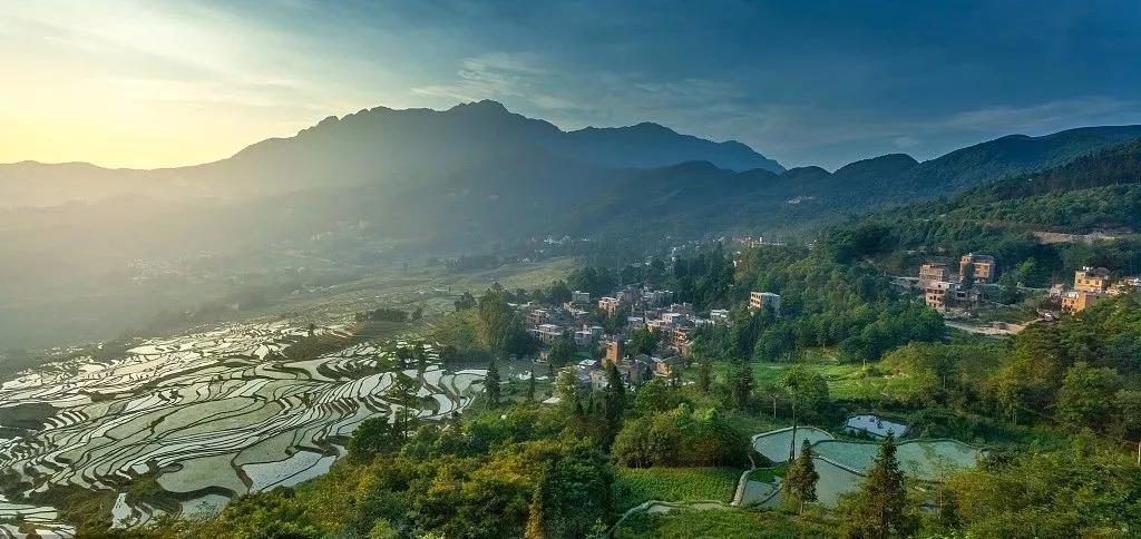 ���ʹ���(�й�)���޹�˾