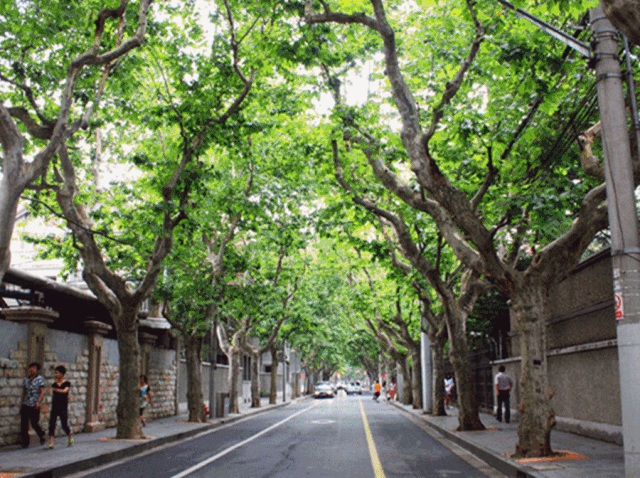 ���ʹ���(�й�)���޹�˾