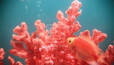 ���ʹ���(�й�)���޹�˾