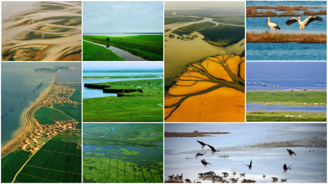 ���ʹ���(�й�)���޹�˾