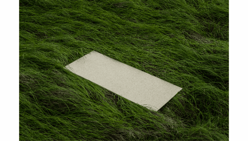 ���ʹ���(�й�)���޹�˾