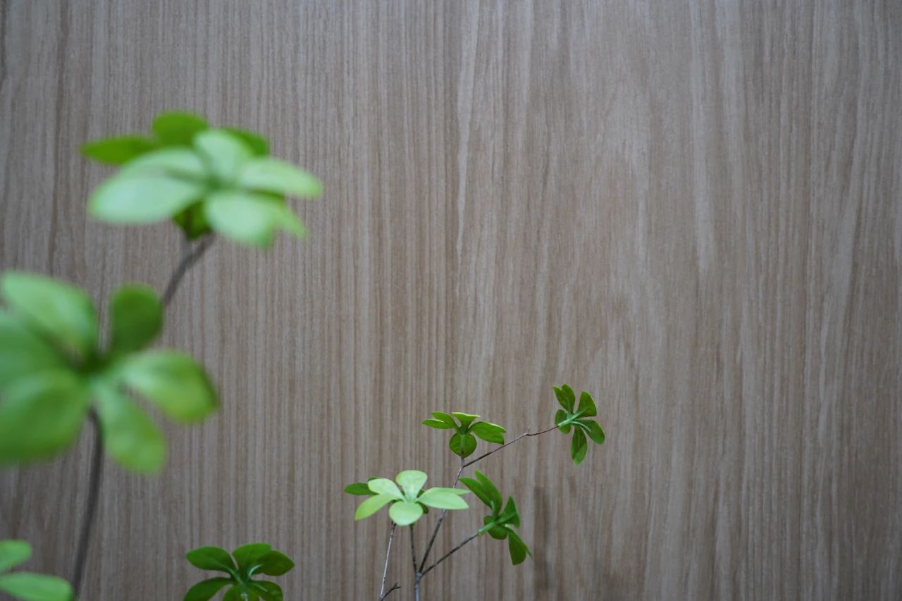 ���ʹ���(�й�)���޹�˾