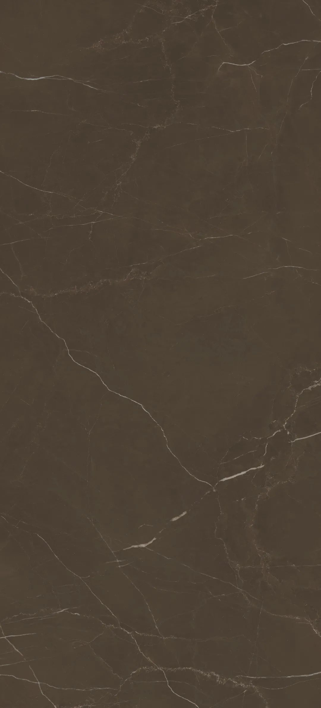 ���ʹ���(�й�)���޹�˾