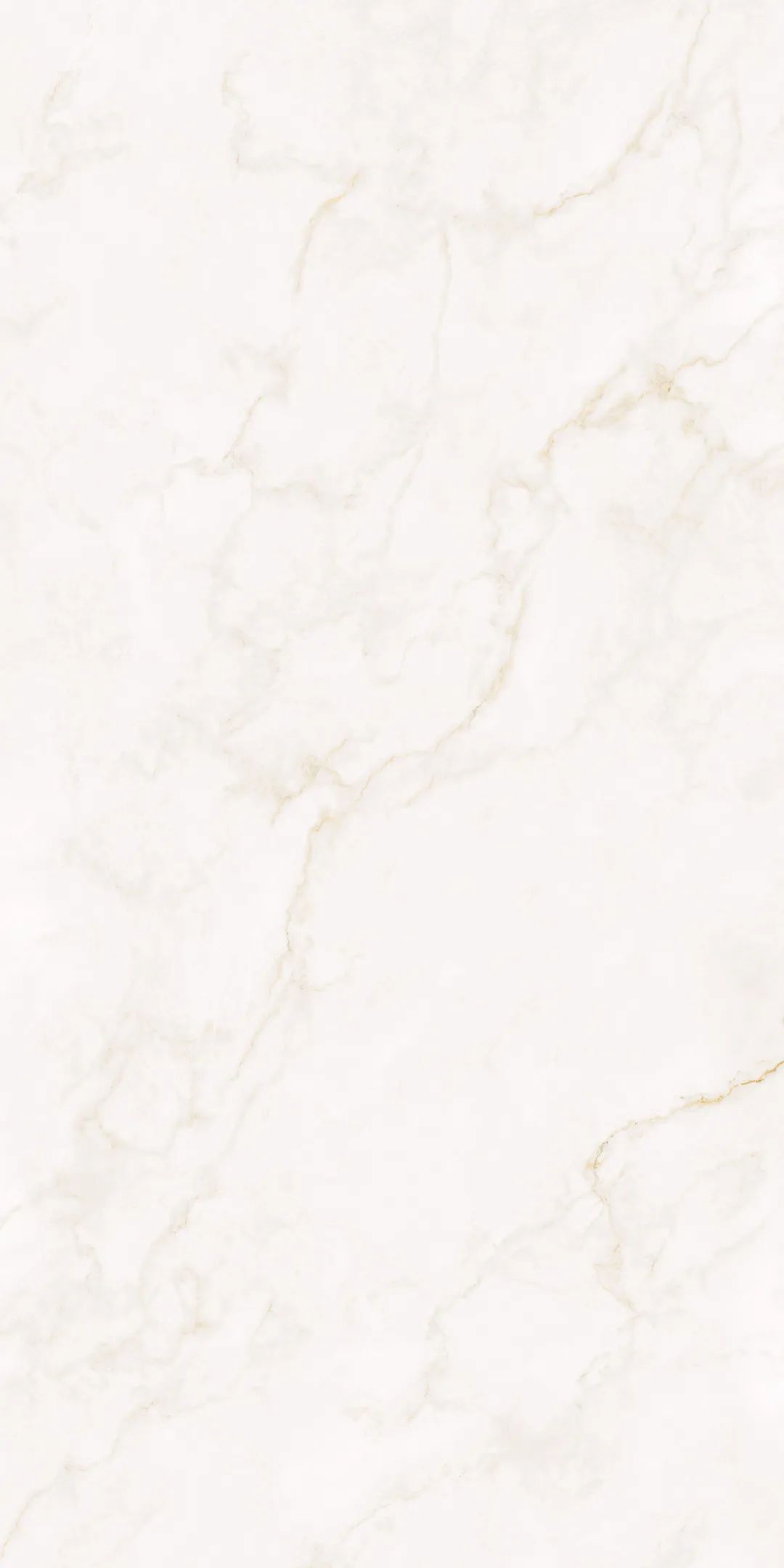 ���ʹ���(�й�)���޹�˾